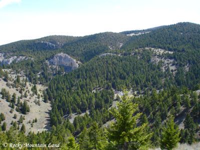 Farm and Ranch in Gallatin County, Montana