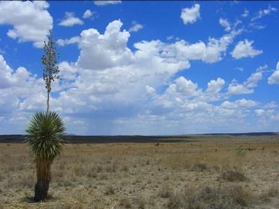 Farm and Ranch in Presidio County, Texas