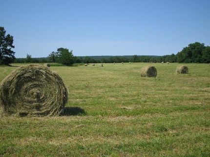 Land in Le Flore County, Oklahoma
