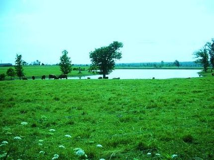 Land in Madison County, Tennessee