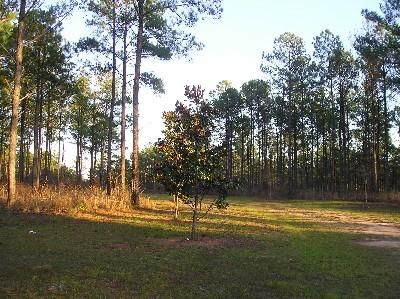 Farm and Ranch in Monroe County, Alabama