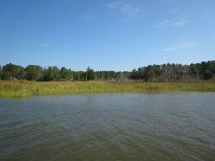 Farm and Ranch in King and Queen County, Virginia