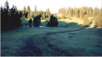 Land in Umatilla County, Oregon