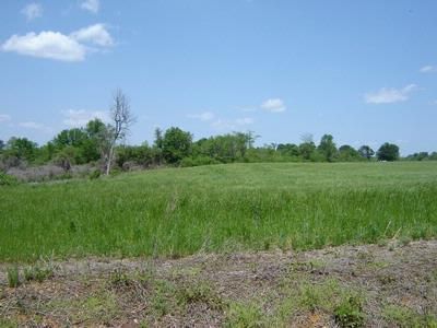 Farm and Ranch in Franklin County, Alabama