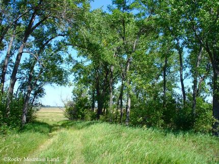 Farm and Ranch in Grand Forks County, North Dakota
