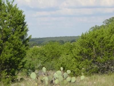 Timberland Property in Kendall County, Texas