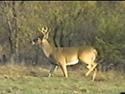 Land in Runnels County, Texas