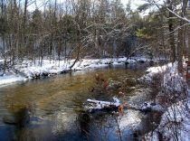 Land in Montcalm County, Michigan