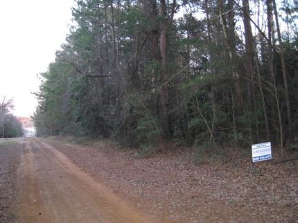 Undeveloped Land in Houston County, Texas