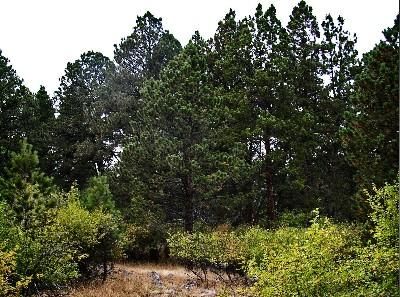 Farm and Ranch in Sheridan County, Wyoming