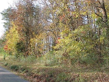 Commercial Property in McMinn County, Tennessee