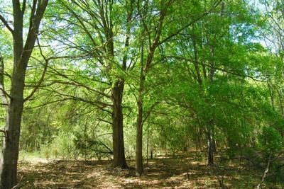 Farm and Ranch in Spartanburg County, South Carolina