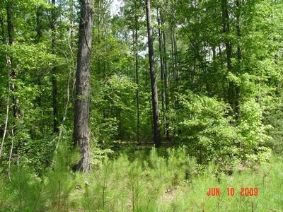 Farm and Ranch in Dallas County, Alabama