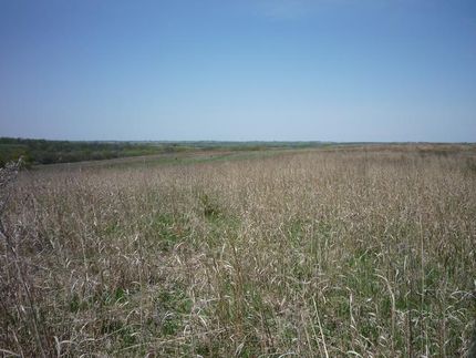 Farm and Ranch in Adams County, Iowa