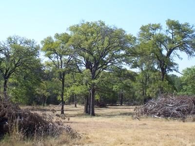 Farm and Ranch in Hays County, Texas