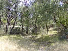 Farm and Ranch in McCulloch County, Texas