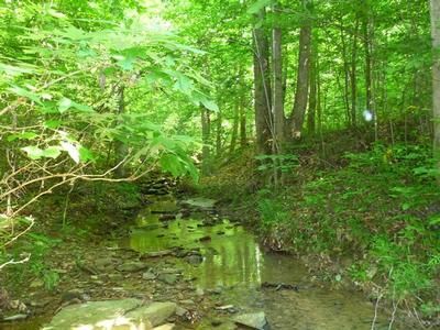 Farm and Ranch in Fayette County, Alabama