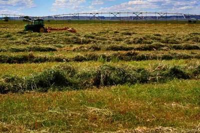 Farm and Ranch in Goshen County, Wyoming