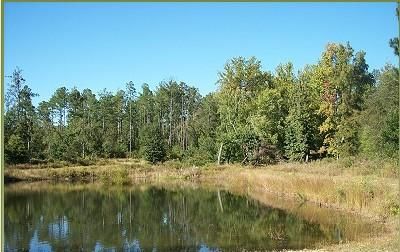 Land in Lexington County, South Carolina