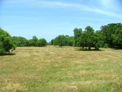 Land in Wilson County, Texas