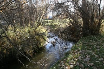 Farm and Ranch in Johnson County, Wyoming