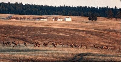 Farm and Ranch in Umatilla County, Oregon
