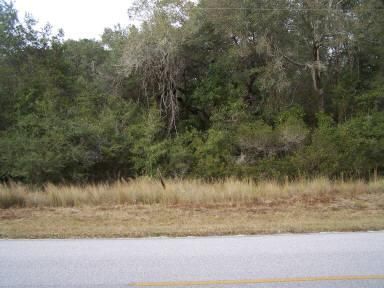 Land in Levy County, Florida