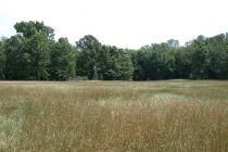 Farm and Ranch in Ottawa County, Michigan