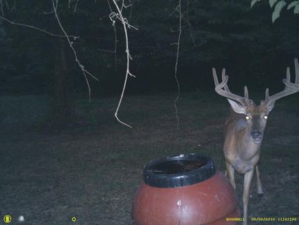 Land in Morgan County, Ohio