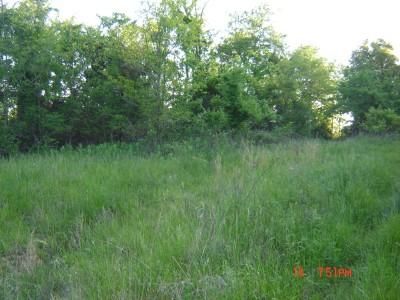 Land in Gallia County, Ohio