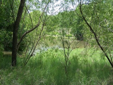 Land in Bee County, Texas