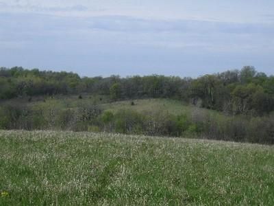 Farm and Ranch in Wayne County, Iowa