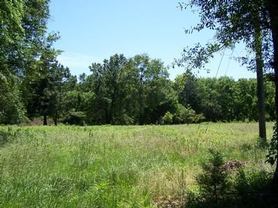 Farm and Ranch in Upshur County, Texas