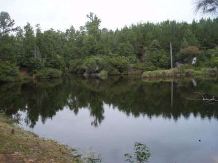 Farm and Ranch in Houston County, Texas