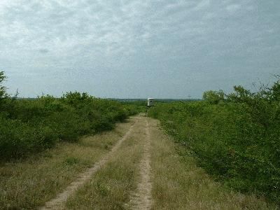 Land in Bee County, Texas