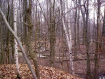 Farm and Ranch in Tuscola County, Michigan