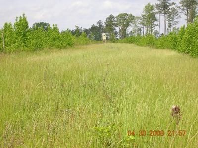 Farm and Ranch in Marengo County, Alabama
