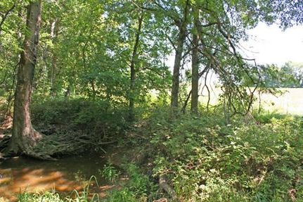 Farm and Ranch in Wayne County, Illinois