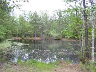 Farm and Ranch in Houston County, Texas