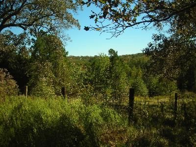 Farm and Ranch in Anderson County, Texas