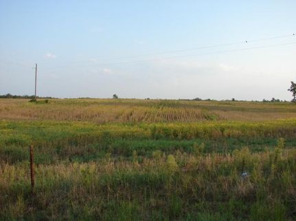 Farm and Ranch in Calloway County, Kentucky
