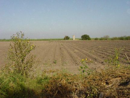 Farm and Ranch in Hidalgo County, Texas