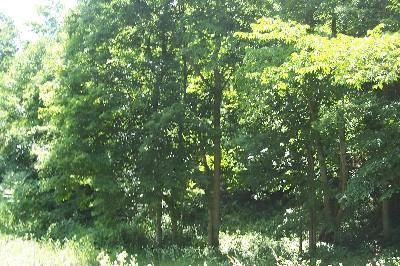 Land in Pike County, Ohio