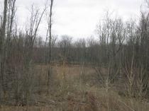 Land in Kent County, Michigan