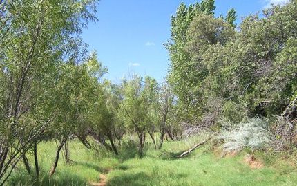 Farm and Ranch in Dickens County, Texas
