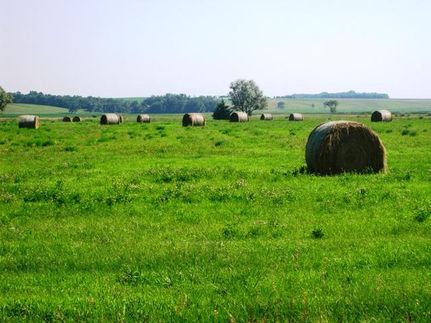 Land in Moody County, South Dakota