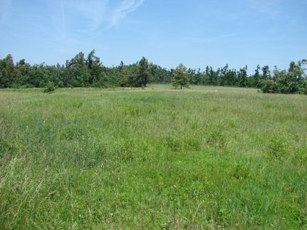 Farm and Ranch in Graves County, Kentucky