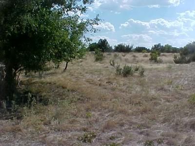 Farm and Ranch in Concho County, Texas