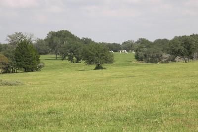 Farm and Ranch in Lavaca County, Texas