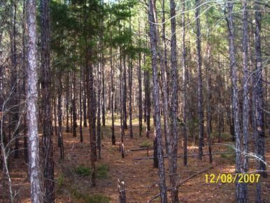 Land in Calhoun County, Georgia